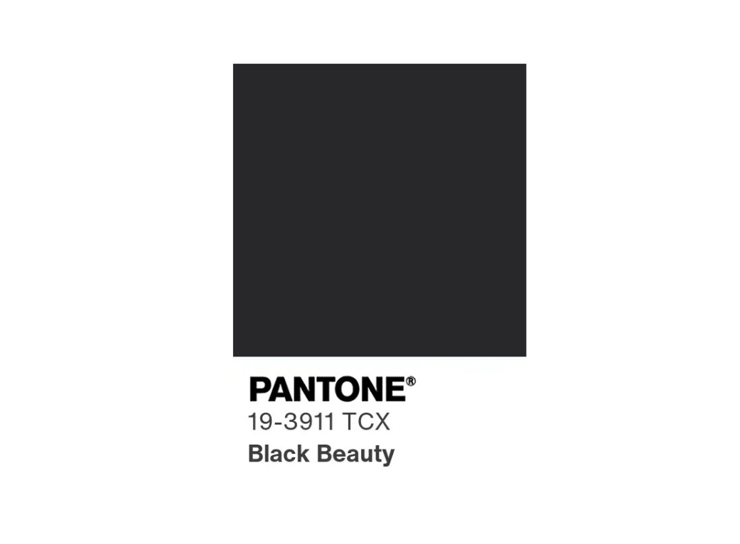karuzela pantone.png
