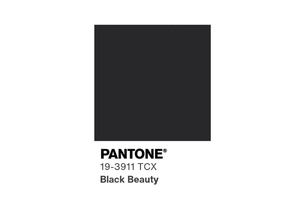 karuzela pantone.png